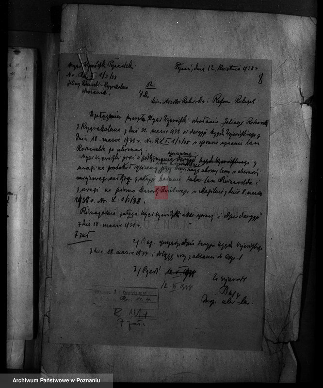 Obraz 12 z jednostki "Krzywekolano powiat mogileński /las Juliuszy Rodenwalda/"