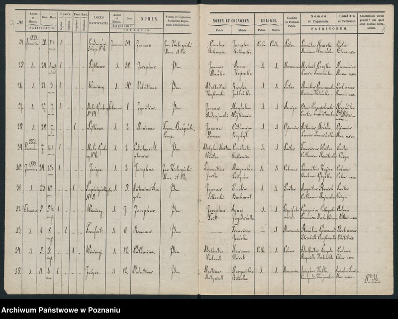 Obraz 8 z jednostki "Księga urodzin"