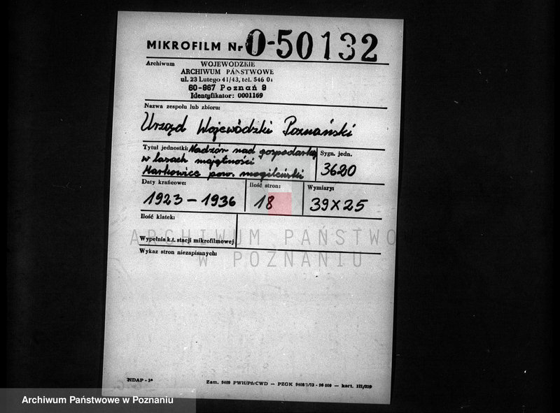 Obraz 2 z jednostki "Nadzór nad gospodarką w lasach majętności Markowice powiat mogileński"