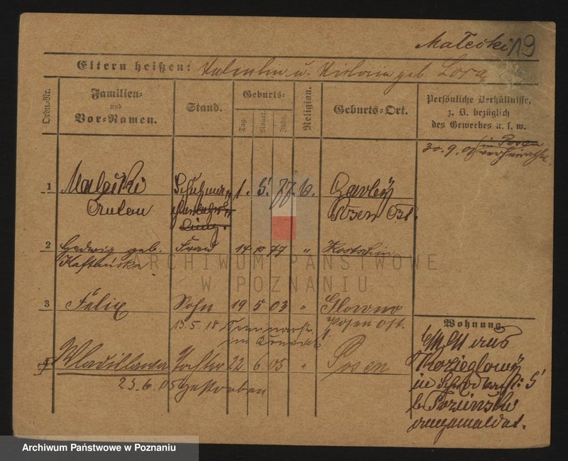 Obraz 20 z jednostki "Małecki - Malgut"