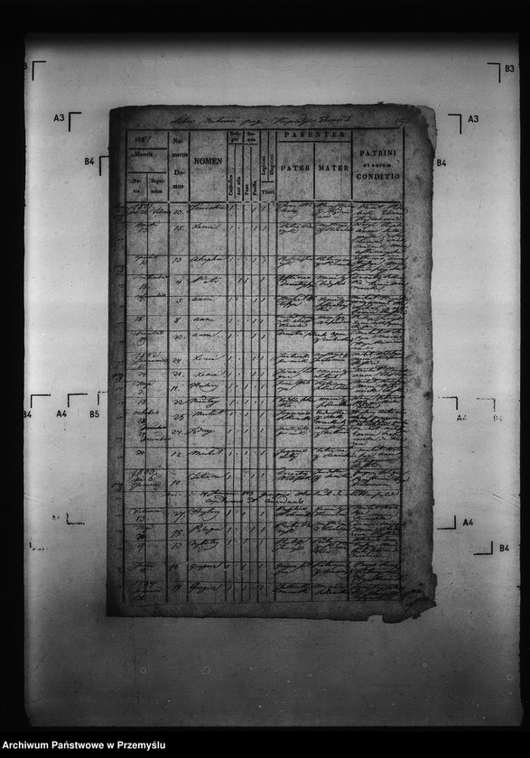 image.from.unit.number "[Kopie ksiąg metrykalnych parafii Kormanice z filiami Kupiatycze, Młodowice (dekanat Niżankowice)]"