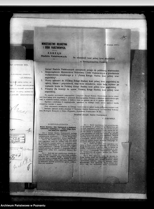 Obraz 19 z jednostki "Sprawy stadnin stadniny - ogólne zarządu stadnin"