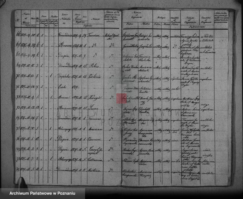 Obraz 9 z jednostki "Duplikat baptisatorum, copulatorum, mortuorum"