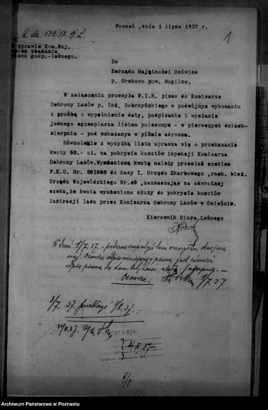 Obraz 5 z jednostki "/Majętność leśna/ Ossowiec/ powiat mogileński"