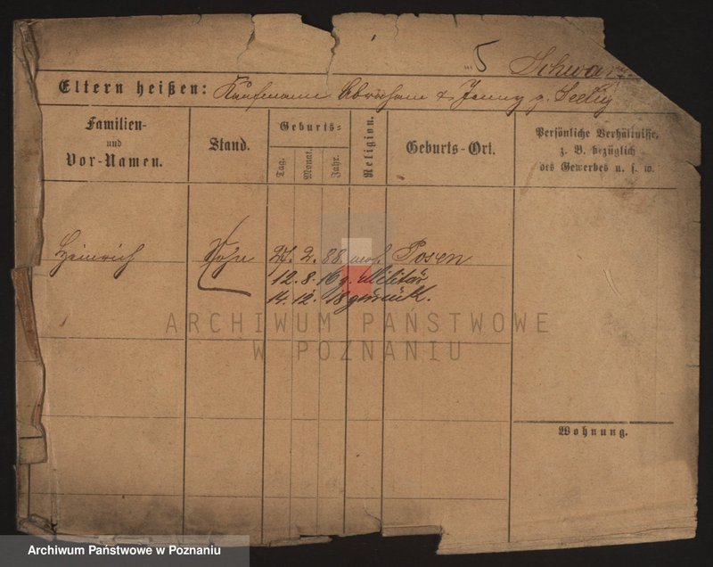 Obraz 13 z jednostki "Szwarc (żonaci i wdowy)"