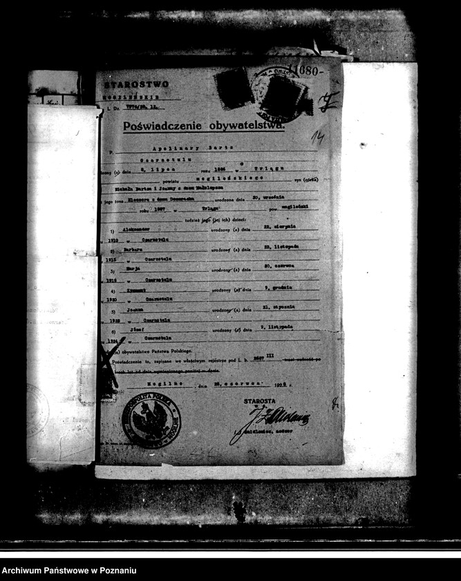 Obraz 19 z jednostki "Majątek Czarnotul powiatu mogileńskiego wyłączenie z art.. 4 i 5 ustawy o wykonaniu reformy rolnej Apolinary Bartz"