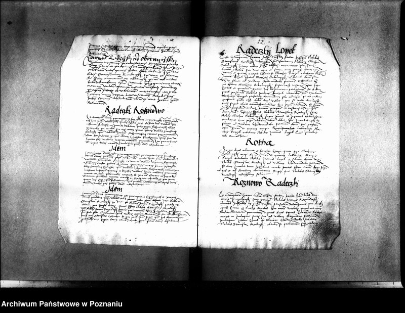 Obraz 17 z jednostki "Inscriptiones, relationes, decreta [inducta]"