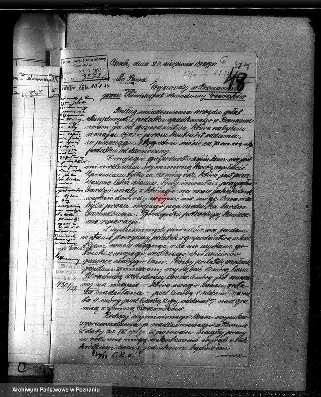 Obraz 10 z jednostki "Nadzór nad gospodarką w lasach majątku Osuch /Z. Busse/ w powiecie czarnkowskim"