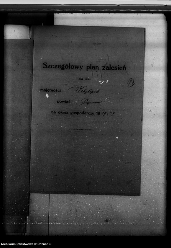 Obraz 17 z jednostki "Program urządzenia gospodarstwa leśnego dla lasu majętności Kobylepole powiat poznański 1929-1939"