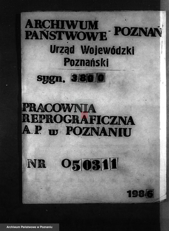 Obraz 1 z jednostki "Majętność leśna Swadzim powiat poznański"