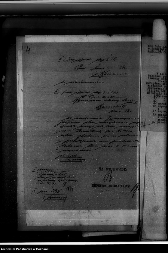 Obraz 8 z jednostki "Majętność leśna Bonikowo powiat kościański"