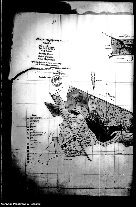 Obraz 20 z jednostki "Rejestr zasiewów majątku Lutom"