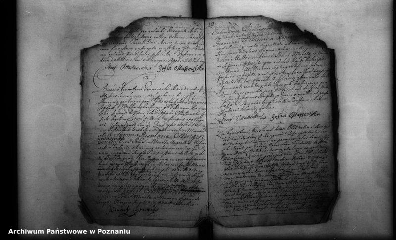 Obraz 15 z jednostki "Inscriptiones, resignationes [protocollon]"