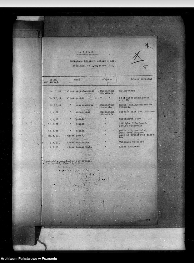 Obraz 10 z jednostki "Zaraza stadnicza"