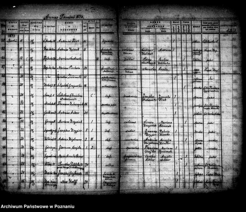 Obraz 7 z jednostki "Księga zgonów"