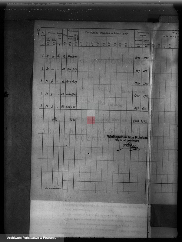 Obraz 13 z jednostki "Plan urządzenia gospodarstwa leśnego dla lasu majętności Zbąszyn-Perzyny powiat nowotomyski 1929-1939"
