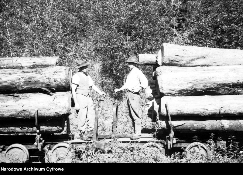 image.from.unit.number "Tartak w Skolem"