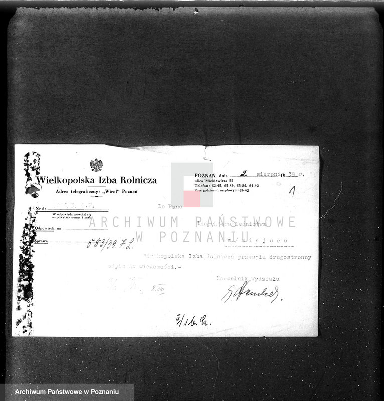 Obraz 5 z jednostki "Zalesianie nieużytków w powiecie czarnkowskim pod nadzorem Wielkopolskiej Izby Rolniczej"