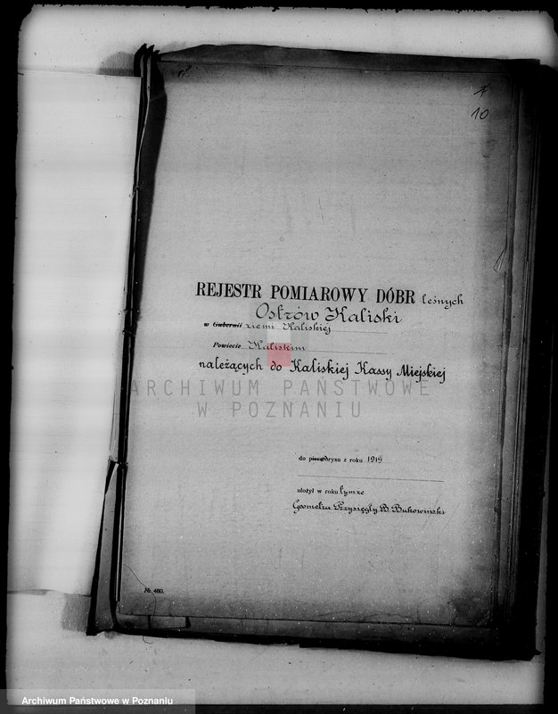 Obraz 15 z jednostki "/Las miasta Kalisza nadzór nad gospodarką/"