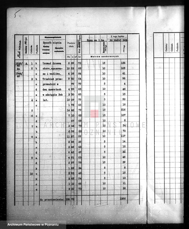 Obraz 9 z jednostki "/Las majątku Wielichowo/"