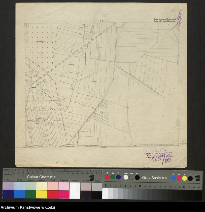 Obraz 1 z jednostki "Zmniejszenia fotograficzne planu miasta Łodzi i okolic 1:5000. Sekcja V G"