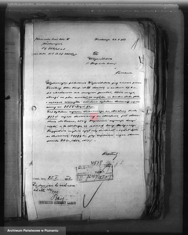 image.from.unit.number "Majętność Przygodzice powiat ostrowski /nadzór nad gospodarką leśną/"