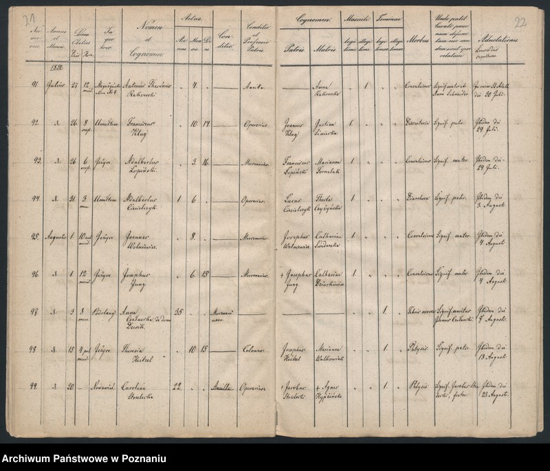 Obraz 13 z jednostki "Księga zgonów"