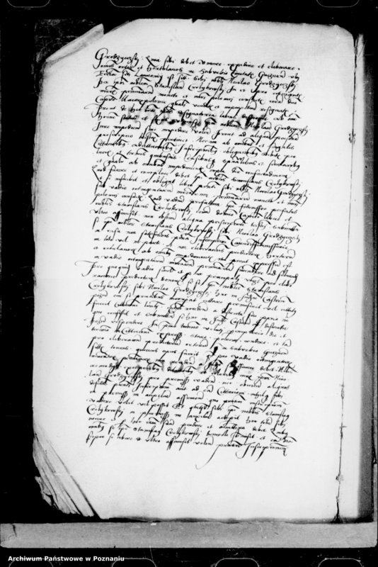 Obraz 16 z jednostki "Inscriptiones, relationes, decreta [inducta]"