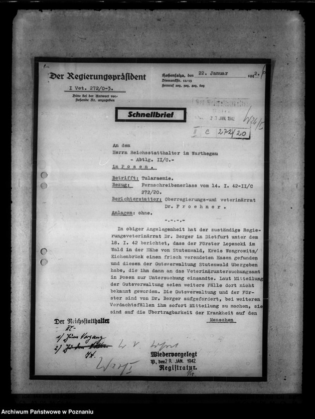 Obraz 10 z jednostki "Tularämie der Rinder. Enterkrankheiten bei Kühen. Fischkrankheiten"