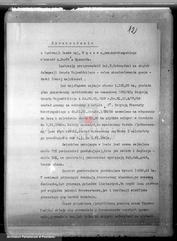 Obraz 17 z jednostki "/Majętność leśna Wąsowo w powiecie nowotomyskim/"