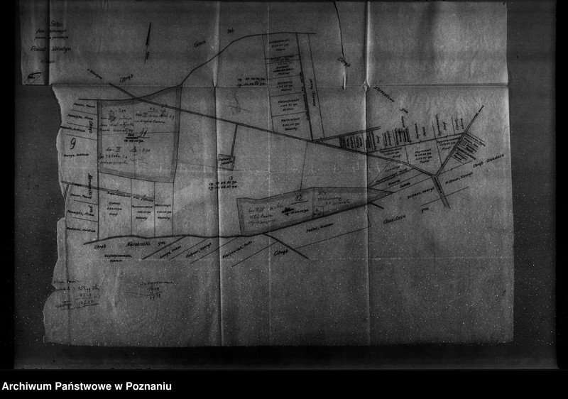 Obraz 13 z jednostki "Majętność leśna Ruchocice powiat wolsztyński"