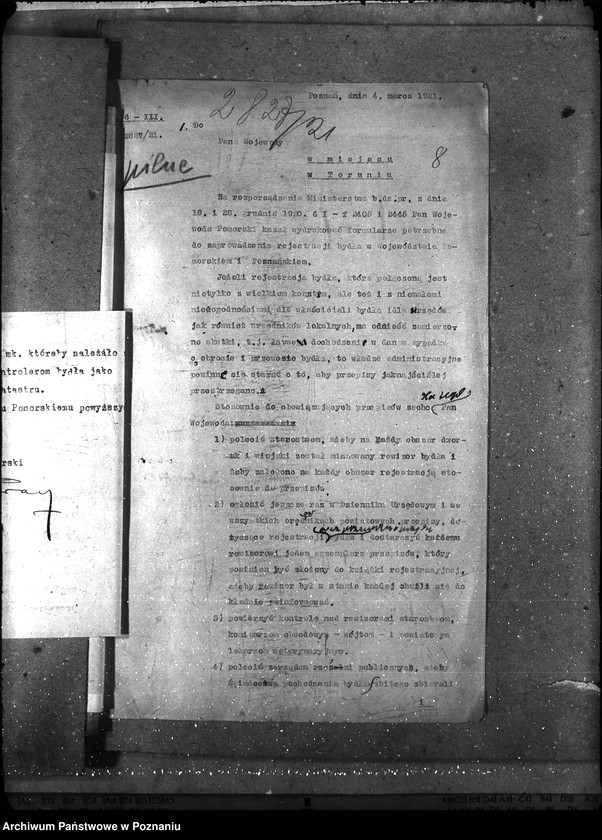 Obraz 12 z jednostki "- księgosusz -"