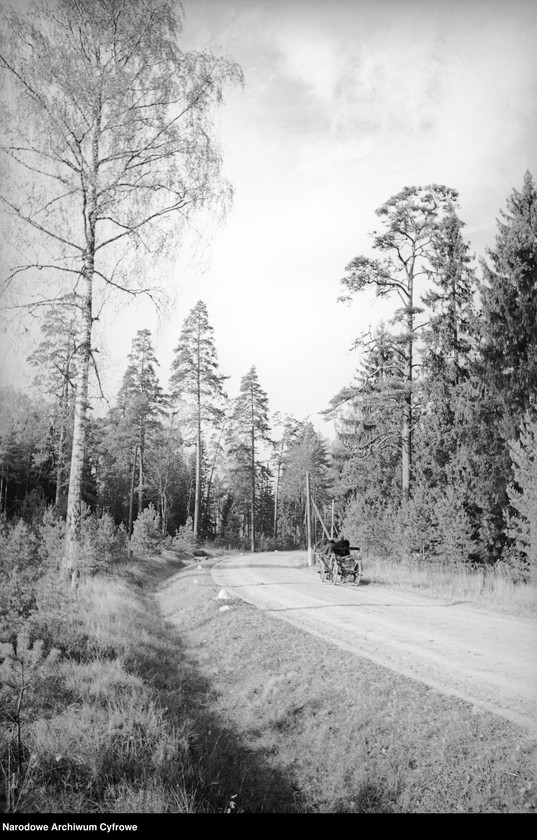 image.from.unit.number "Białowieża"