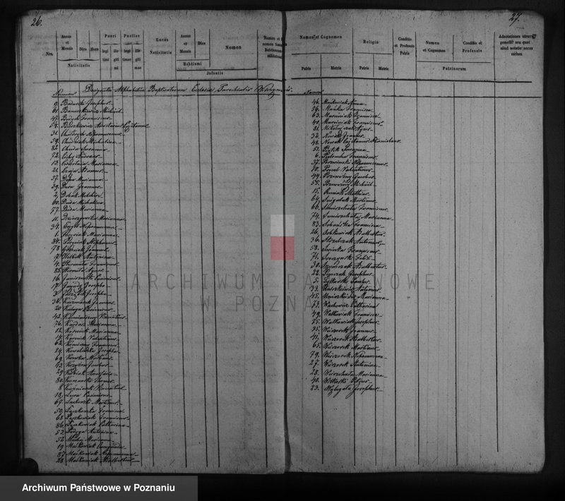 Obraz 16 z jednostki "Duplicat copulatorum, baptisatorum, mortuorum"