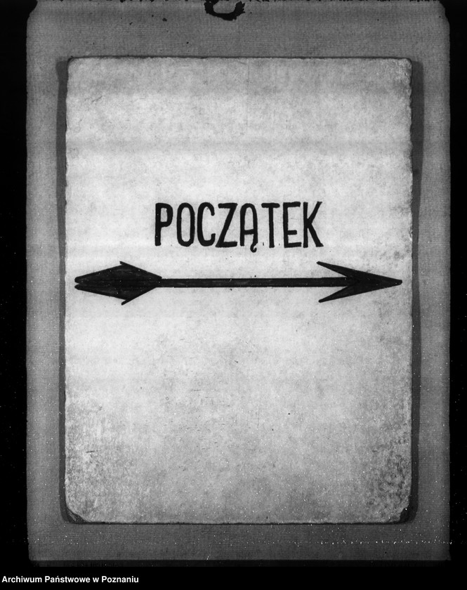 Obraz 3 z jednostki "Statistik über Fleischbeschau und Schlachtungen"