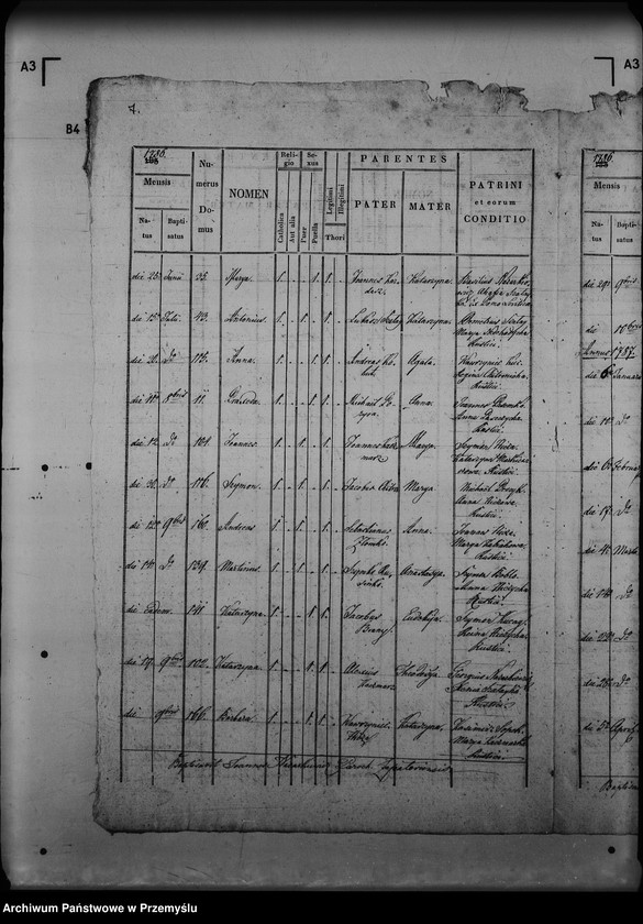 image.from.unit.number "[Kopie ksiąg metrykalnych parafii Zapałów (dekanat Lubaczów)]"