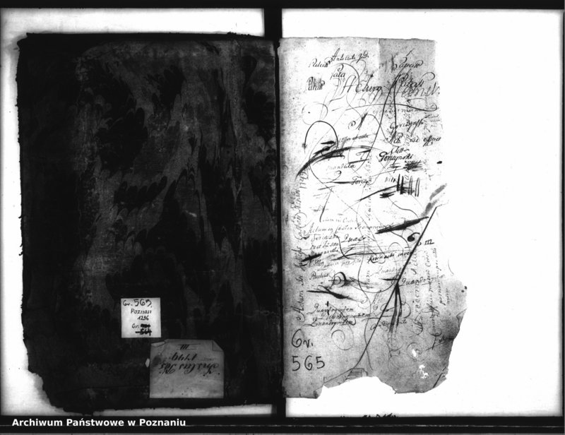 Obraz 3 z jednostki "Inscriptiones, resignationes [protocollon]"