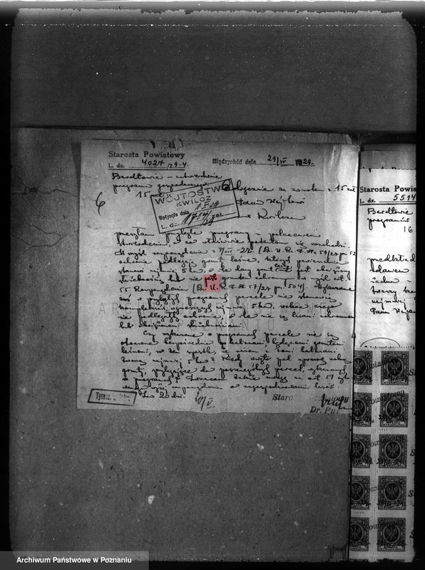 Obraz 10 z jednostki "Majętność leśna Niemierzewo w powiecie międzychodzkim"