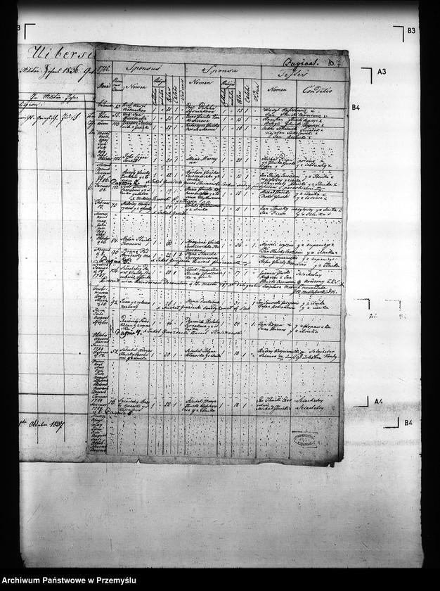 Obraz 12 z jednostki "[Kopie ksiąg metrykalnych parafii Ilnik (dekanat Turka)]"