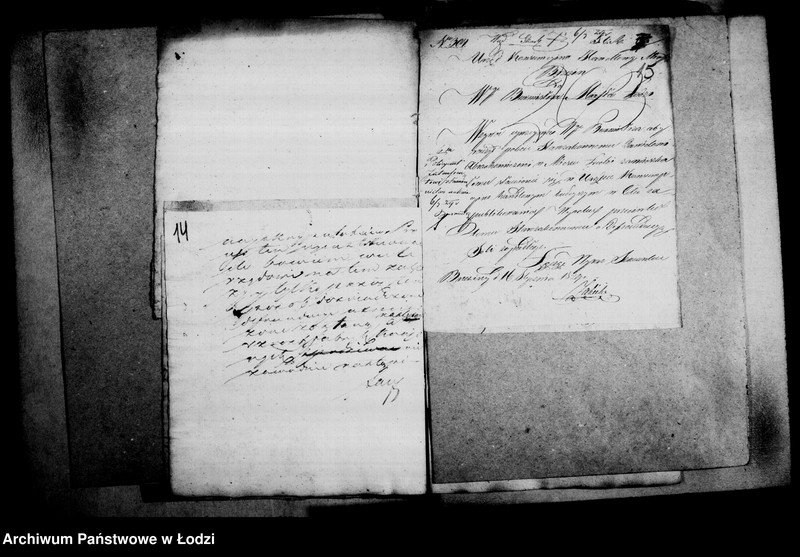 Obraz 15 z jednostki "Akta tyczące się defraudacji rozmaitych towarów"