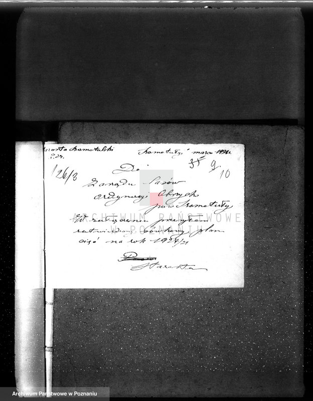 Obraz 14 z jednostki "Ordynacja Obrzycko /nadzór nad gospodarką leśną/"