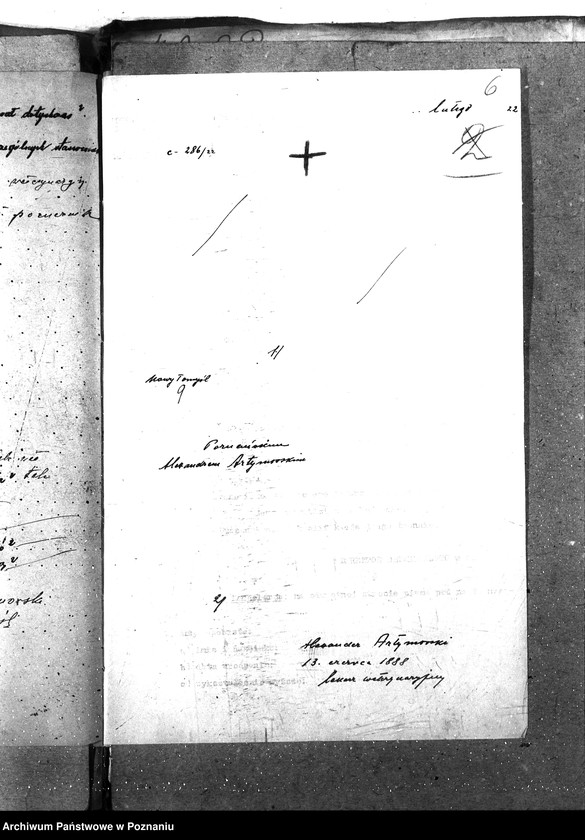 Obraz 10 z jednostki "Pow. lekarz Weterynaryjny Nowy Tomyśl"