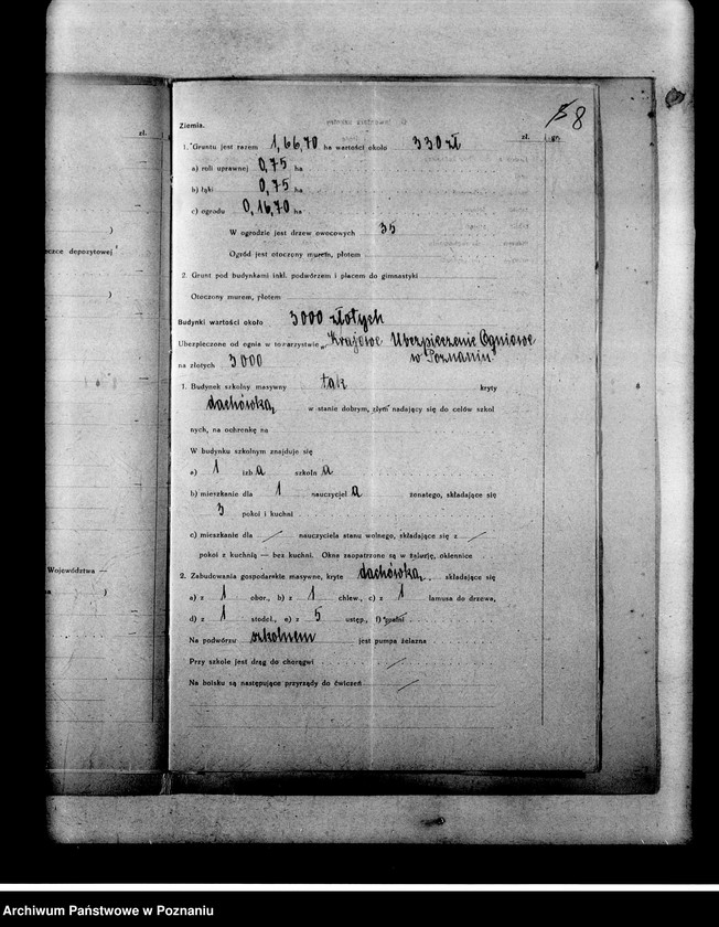 Obraz 12 z jednostki "Szkoła Powszechna- Skokowo, powiat Koźmin"