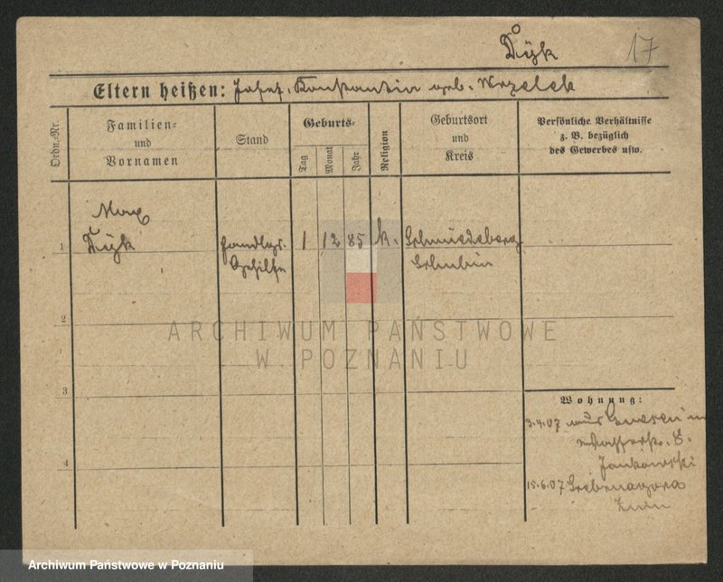 Obraz 19 z jednostki "Dygierska - Dyzman"