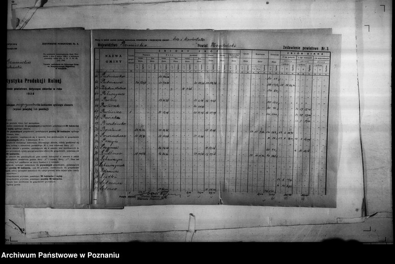 Obraz 14 z jednostki "/Statystyka produkcji rolnej - zestawienie powiatowe - Mogilno/"