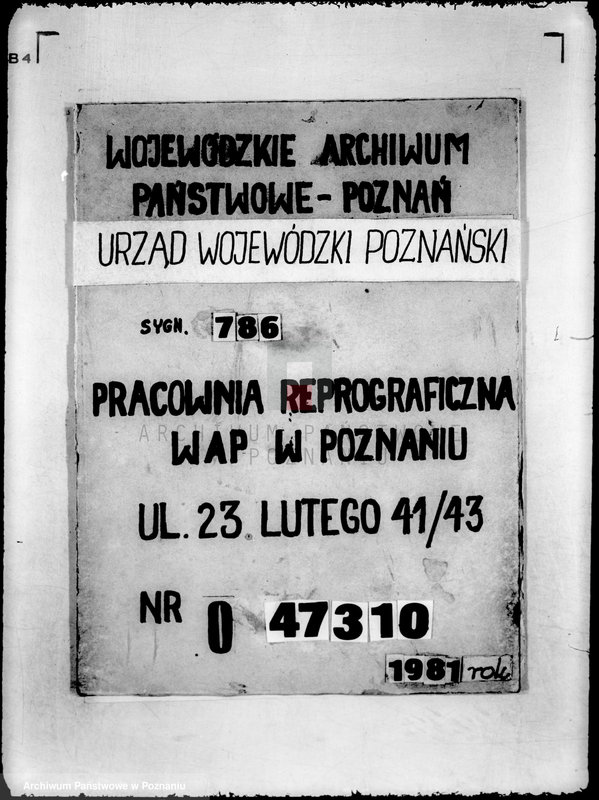 Obraz 15 z jednostki "/Policyjny Klub Sportowy w Środzie/"