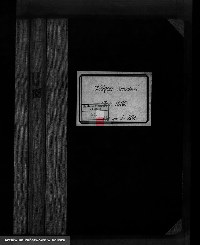 image.from.unit.number "[Księga urodzeń]"
