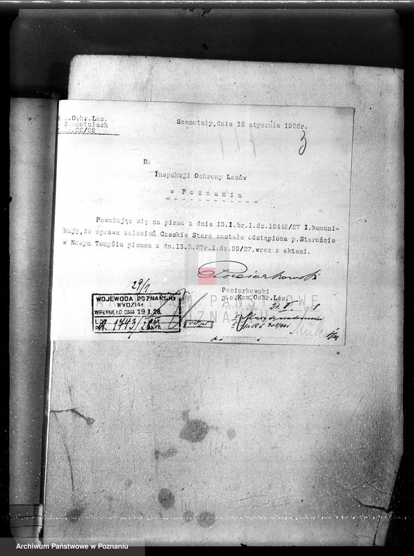 Obraz 7 z jednostki "Majętność leśna Porażyn w powiecie nowotomyskim"