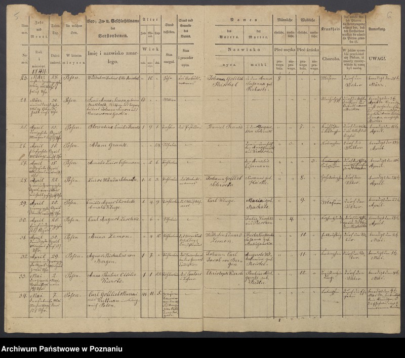 image.from.unit.number "Duplikat des Sterberegisters"