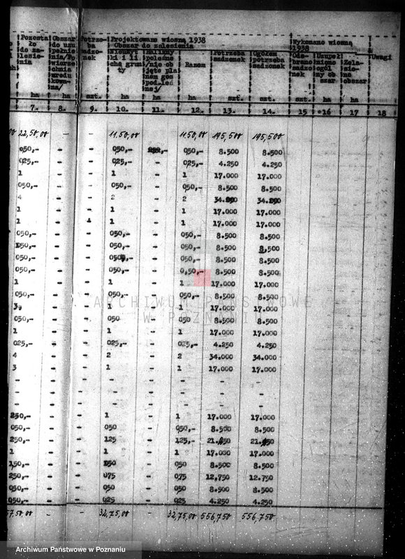 Obraz 13 z jednostki "Plan zalesiania majątków w powiecie czarnkowskim"
